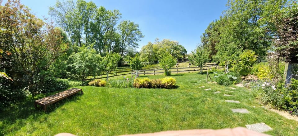 Garden view