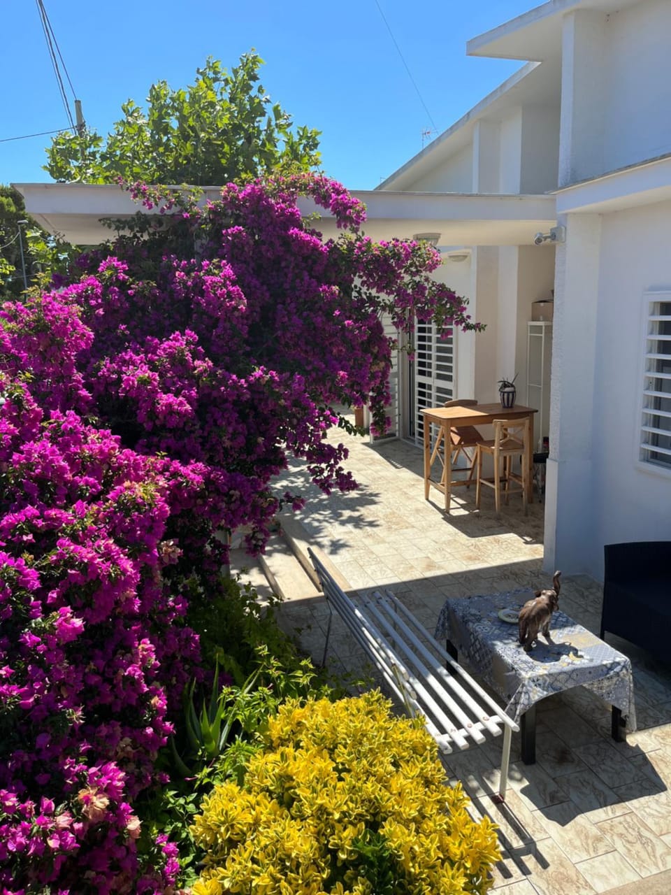 Property building, Garden view