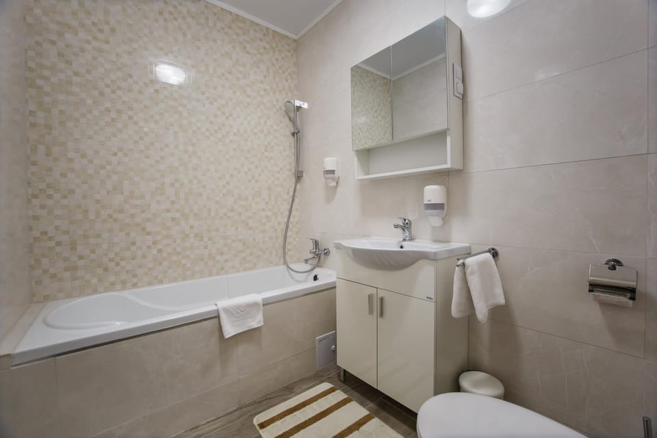 No. 10 - The Penthouse in City Center Apartment in Hungary