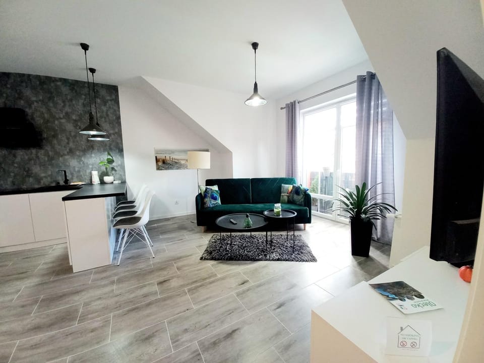 Living room, kitchen