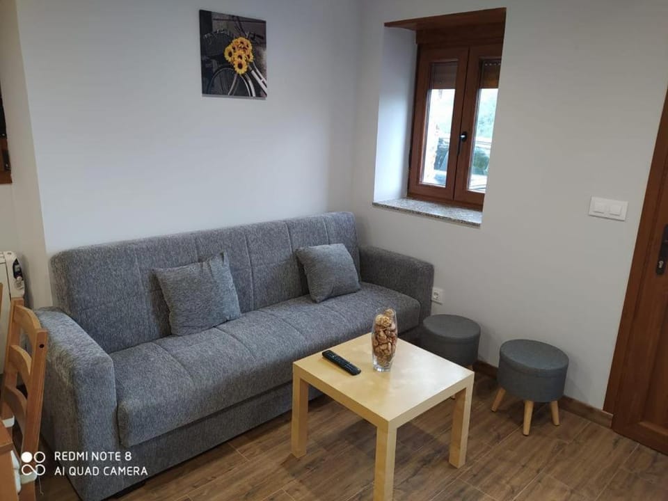 EL MEJICANO II Apartment in Asturias