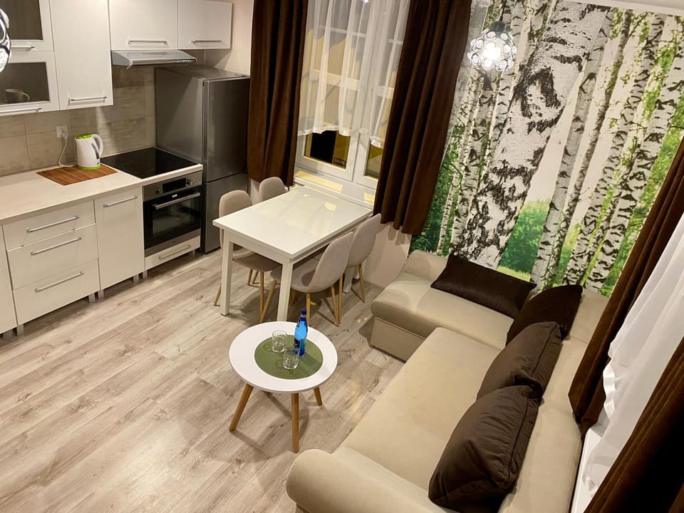 Apartamenty W Brzozowym Gaju Apartment in Lower Silesian Voivodeship