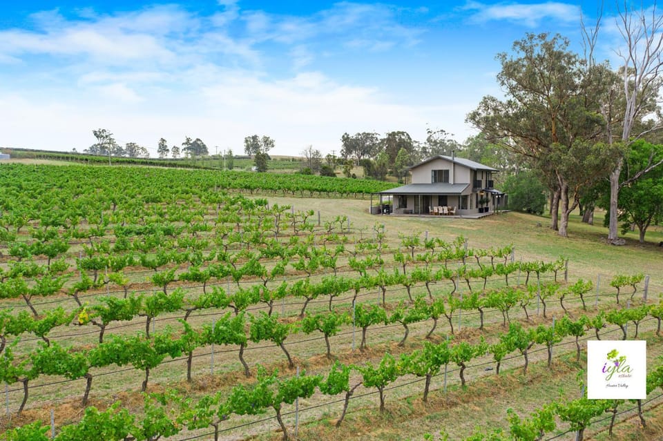 Property building, Bird's eye view, Garden
