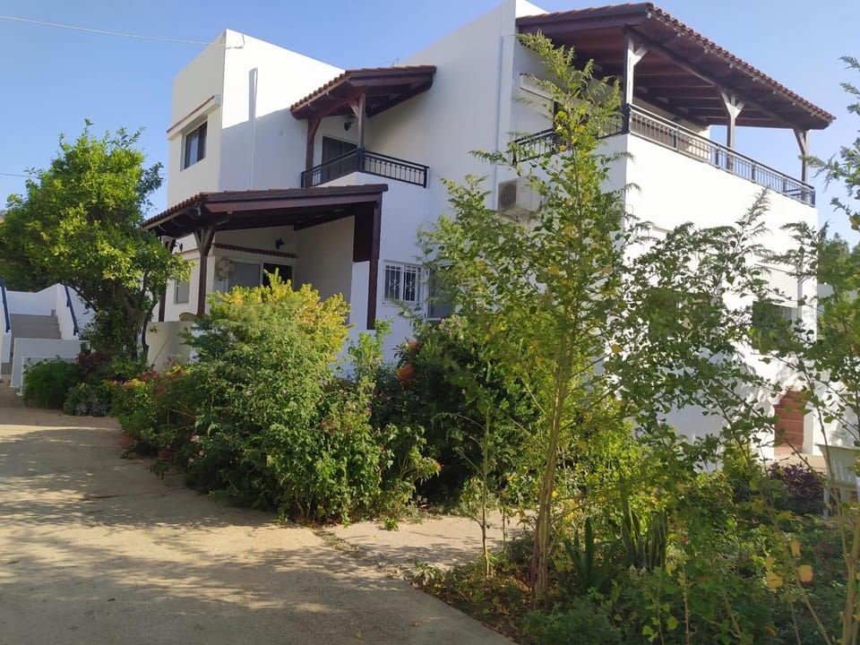 Property building, Garden view