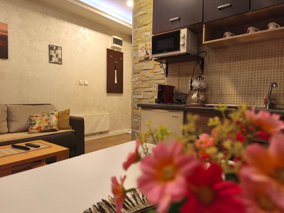 Apartmani Katanera Apartment in Serbia