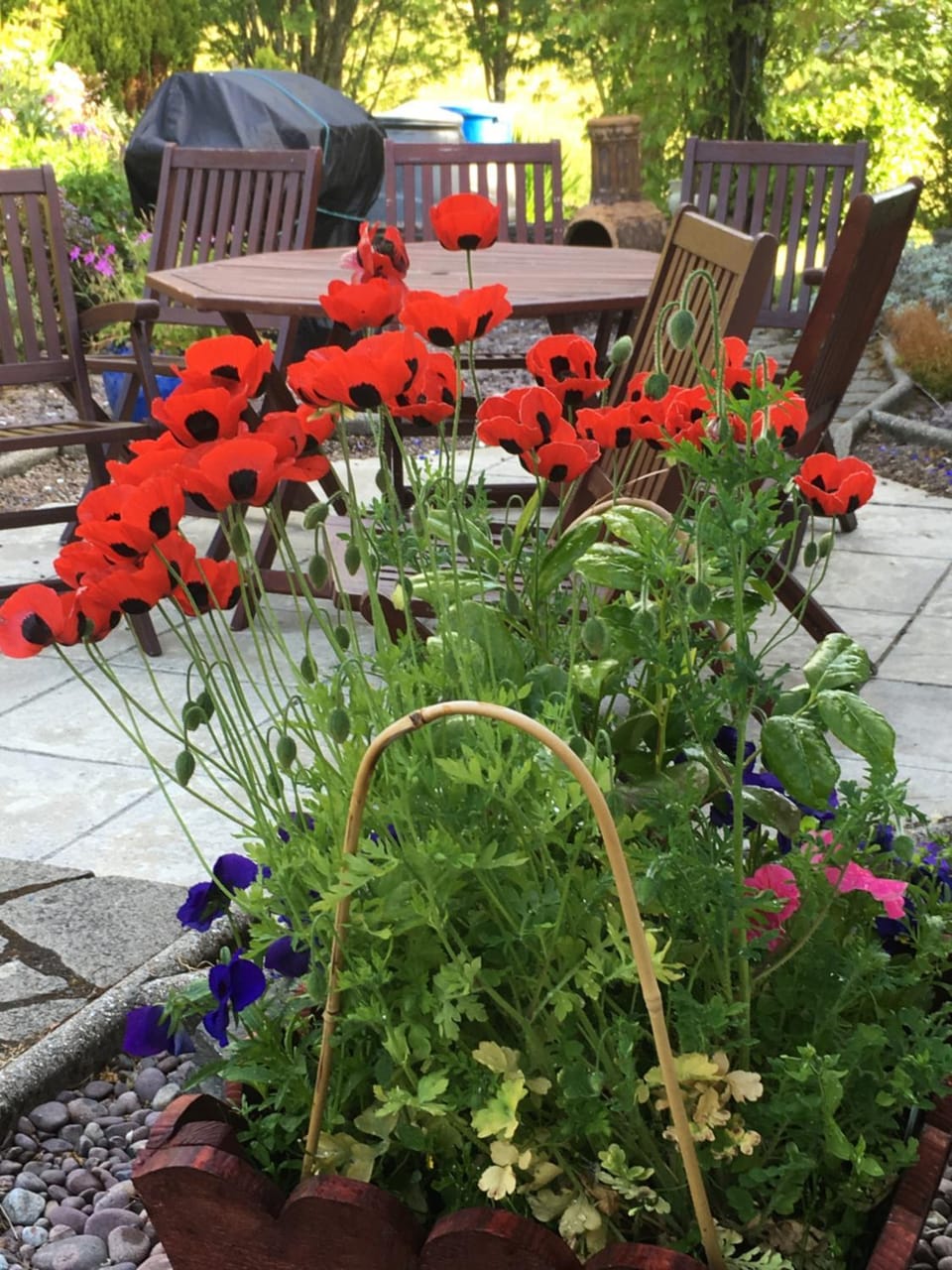 Mo-Dhachaidh B&B Bed and Breakfast in Scotland