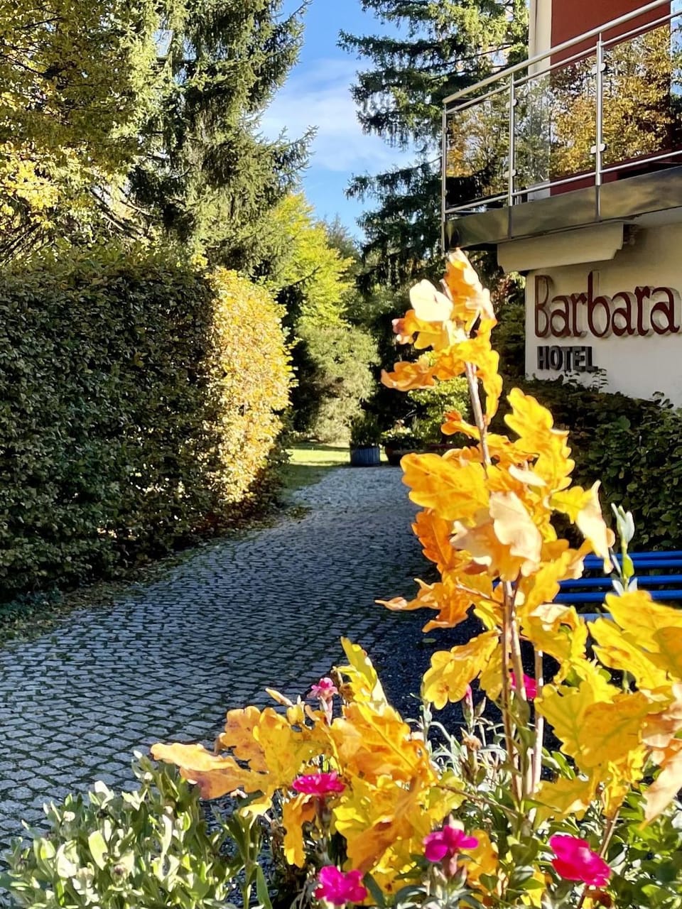 Hotel Barbara Bed and Breakfast in Bavaria