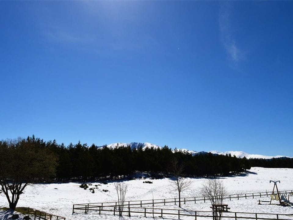 Studio Cabine Cosy Proche des Pistes - Sud-Ouest, Équipé pour 3 Pers., Animaux Acceptés - FR-1-592-25 Cabin in Bolquère