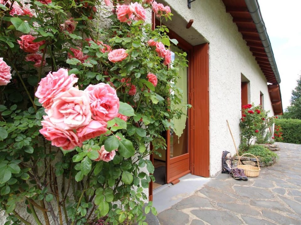 Gîte Montagne avec Cheminée - 4 chambres, Animaux acceptés - FR-1-582-243 House in Auvergne-Rhône-Alpes