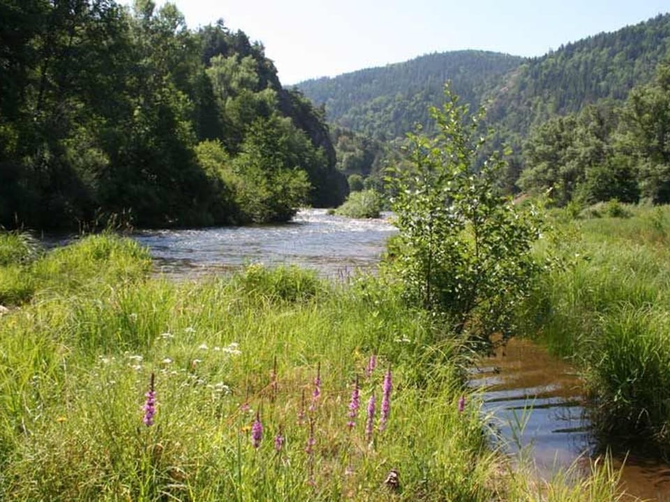 Maison familiale avec terrasse, grand terrain et proche de la rivière - Alleyras, 6 pers. - FR-1-582-244 House in Auvergne-Rhône-Alpes