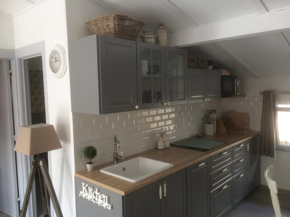 Kitchen or kitchenette, minibar, pet friendly, stove