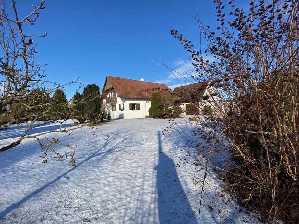 Property building, Winter