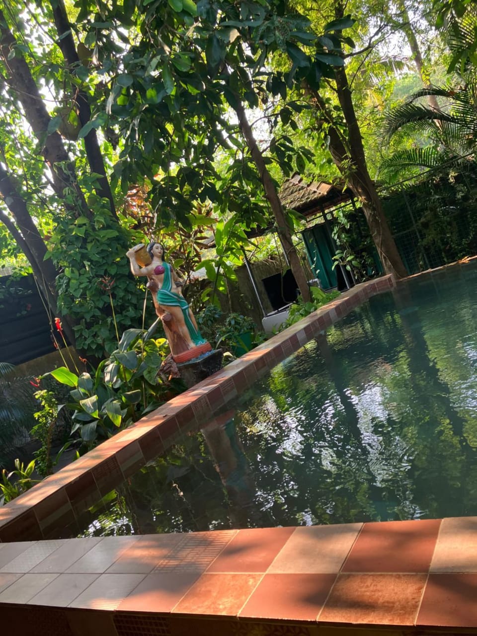 Marari Dreamz Homestay Bed and Breakfast in Kerala
