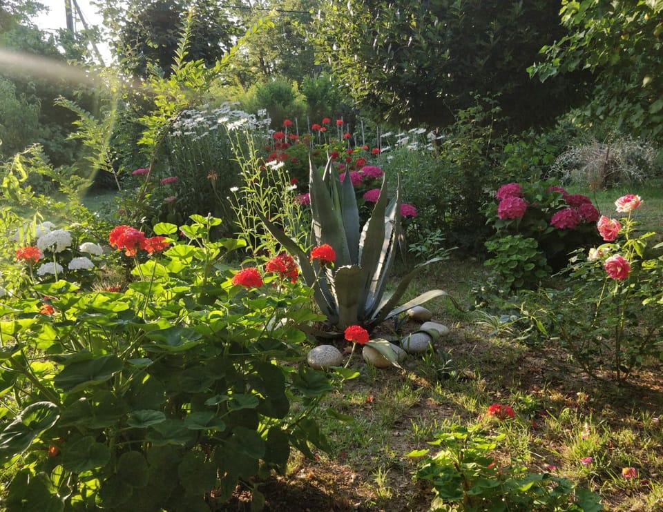 Akamatis Giorgos Bed and Breakfast in Evros, Greece