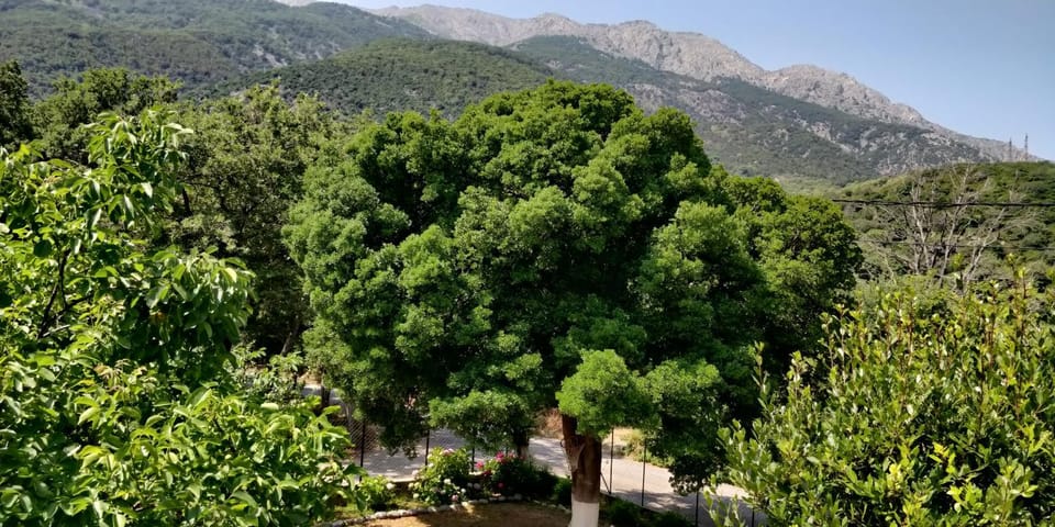 Akamatis Giorgos Bed and Breakfast in Evros, Greece