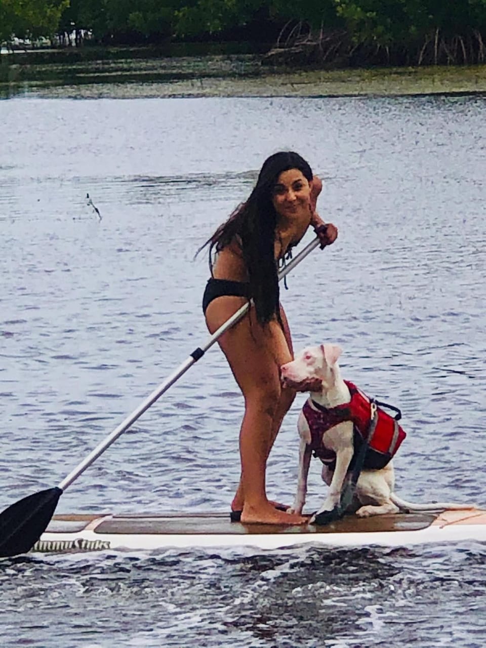 Activities, Lake view