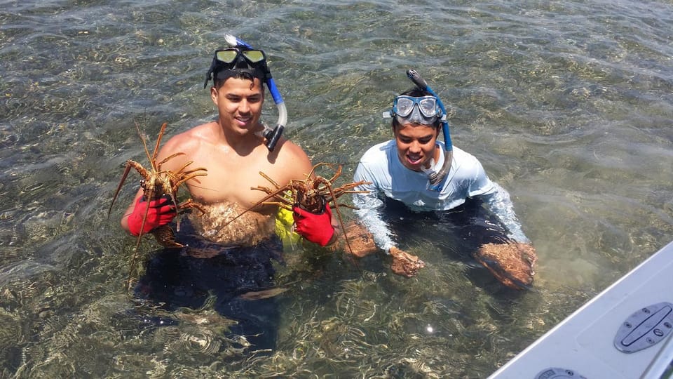Activities, Snorkeling, Diving
