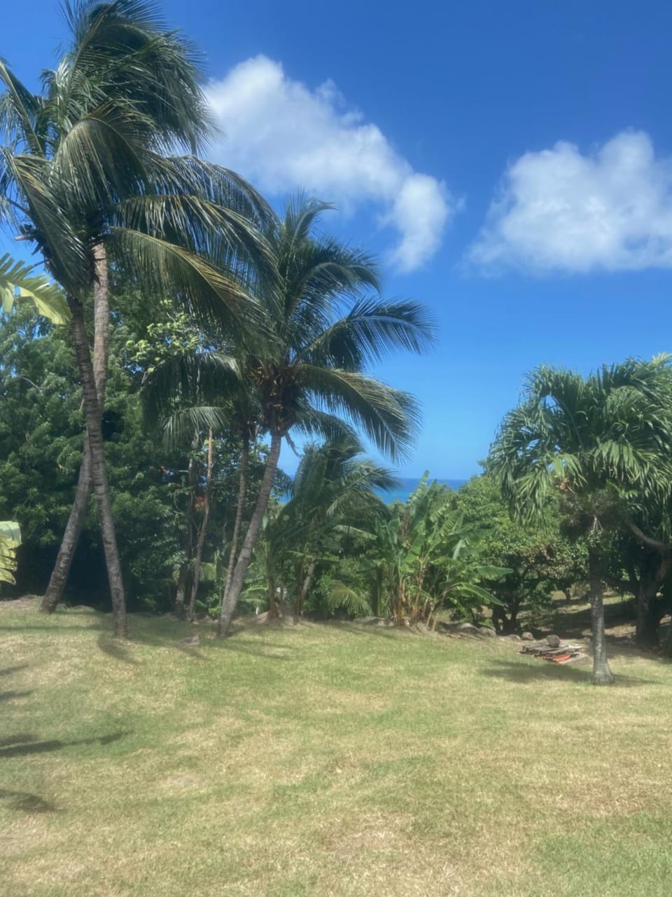 Garden view, Sea view