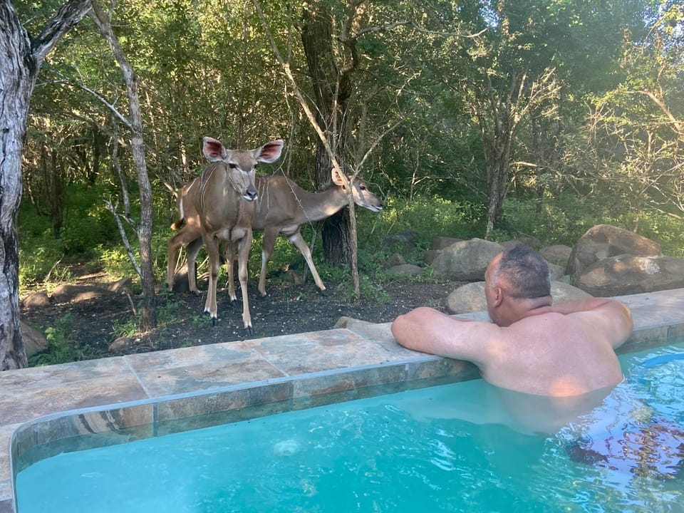 Pool view