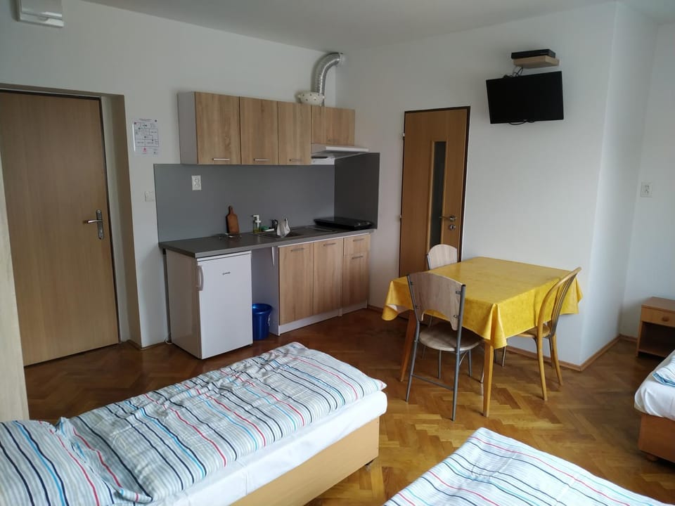 Garsónky v rodinnom dome Nitra-Lužianky Apartment in Slovakia