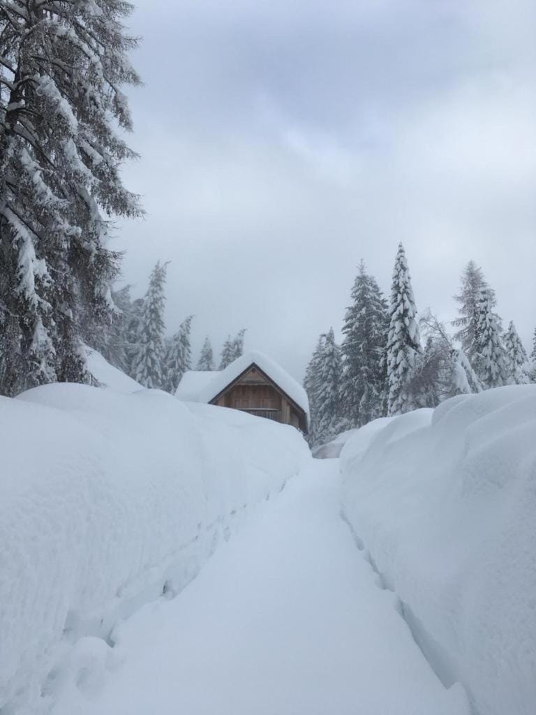 Chalet Corone Monte Zoncolan Chalet in Friuli-Venezia Giulia