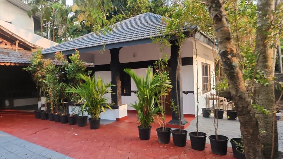 Patio, Garden