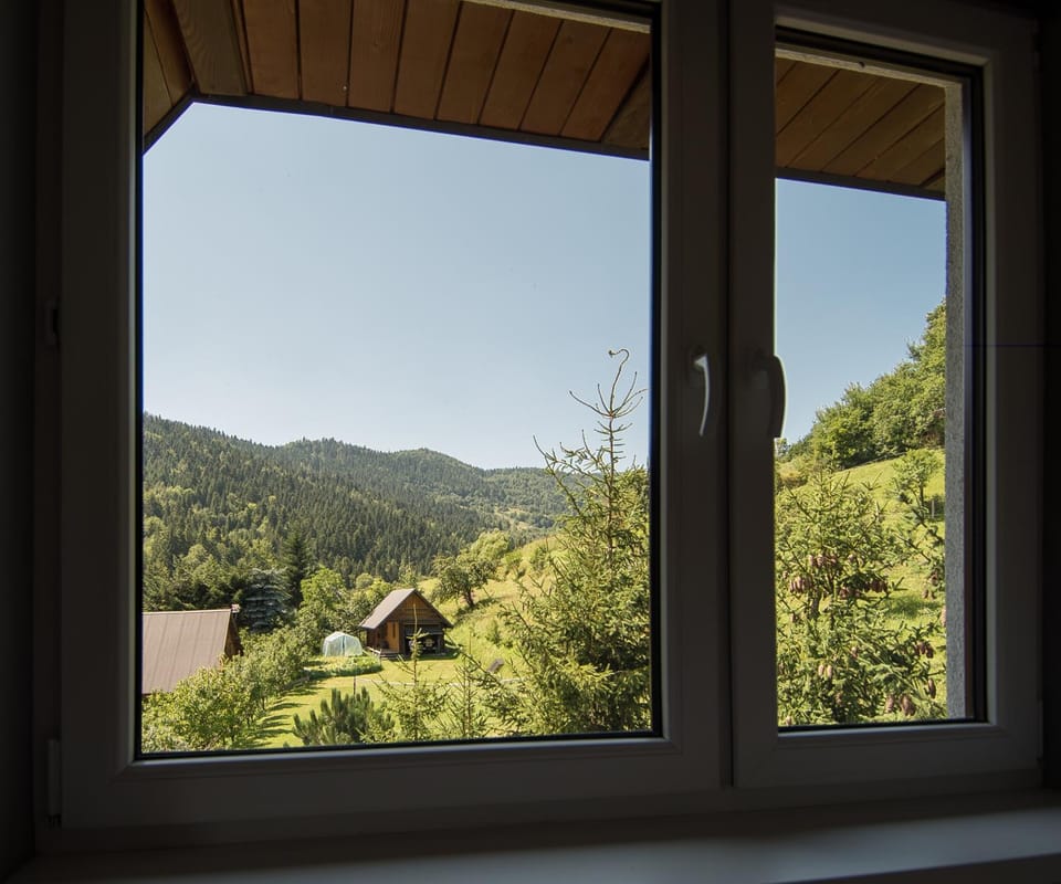Mountain view