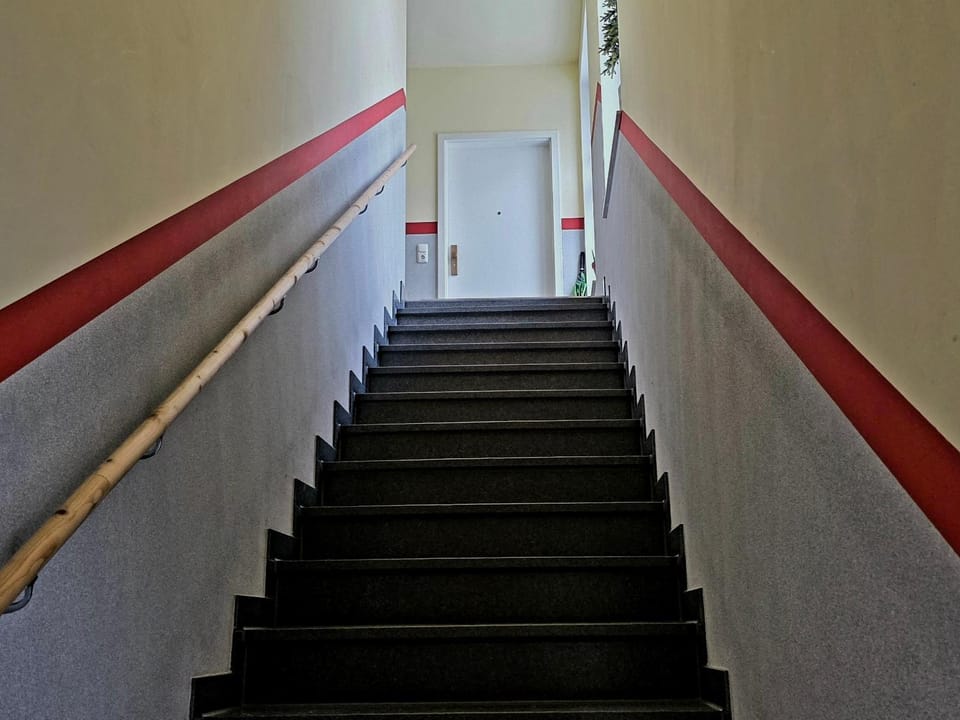 Papageiennest Apartment in Dresden
