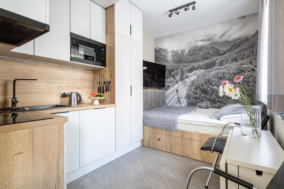 Villa 16 Zakopane Apartment in Zakopane
