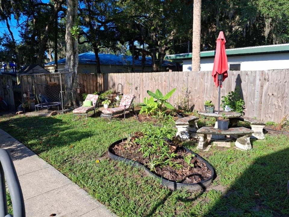 Garden view