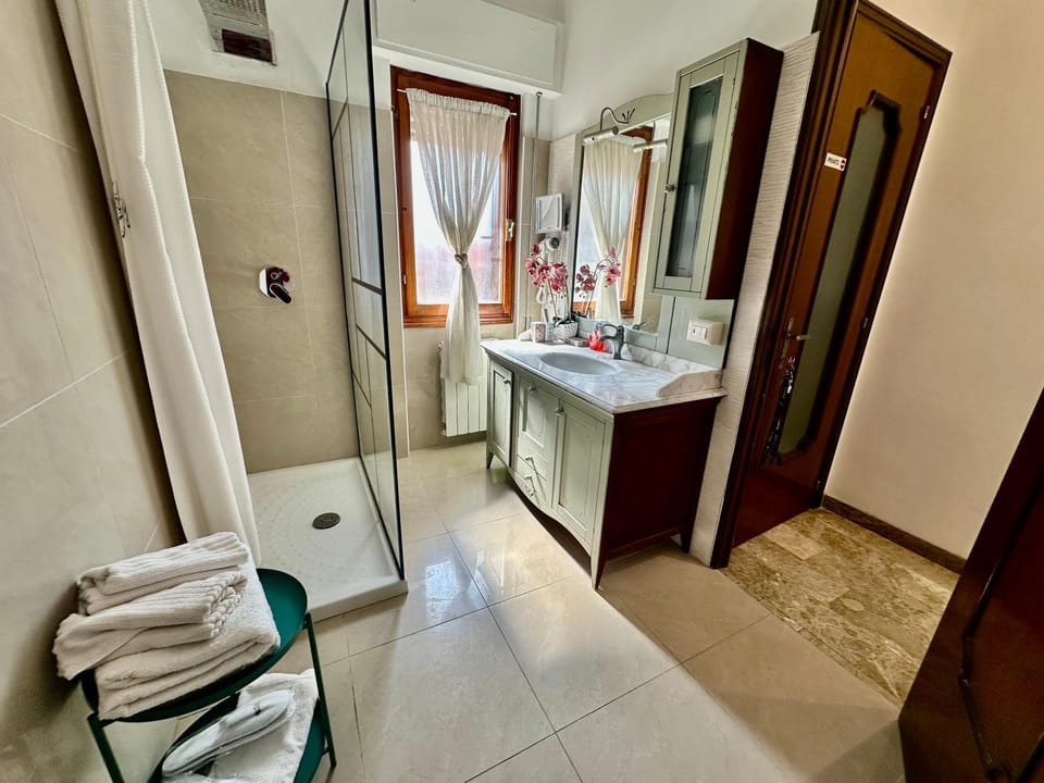 Shower, Toilet, towels