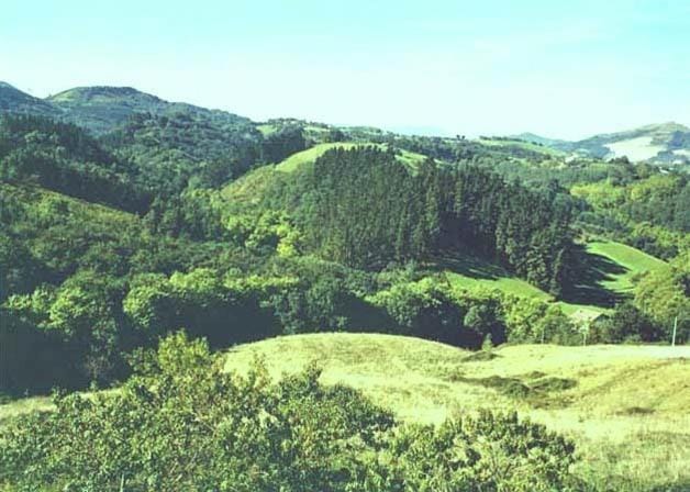 Mountain view