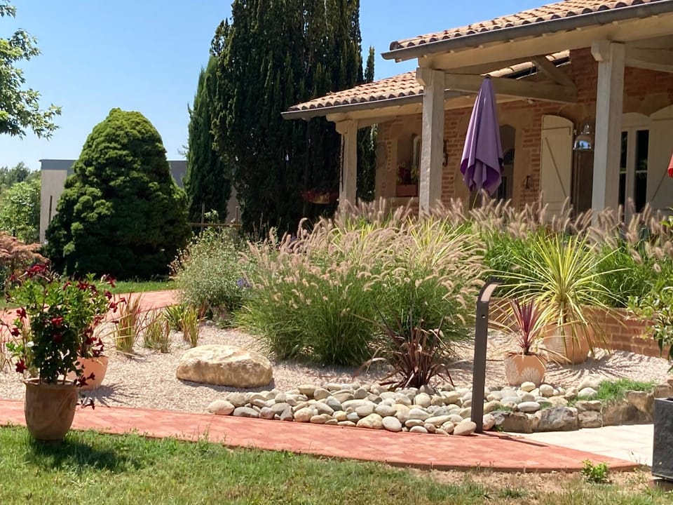 Garden view