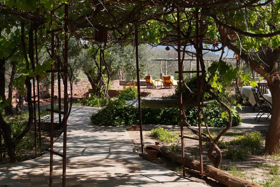 Patio, Garden