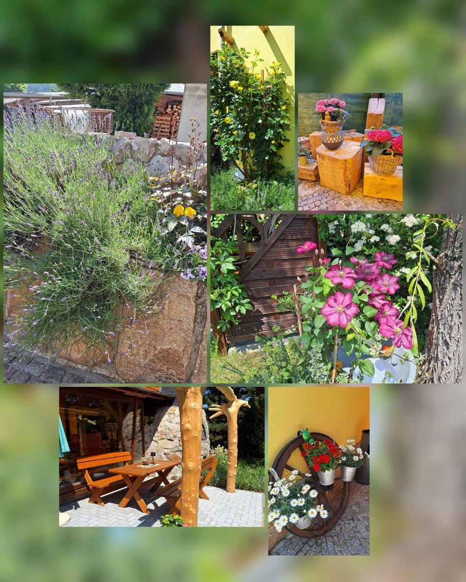 Landgasthof Plohnbachtal UG Hotel in Saxony