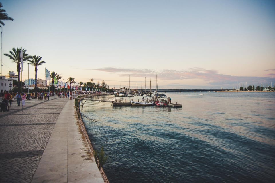 Nearby landmark, Spring, Off site, People, Neighbourhood, Natural landscape, Summer, Fishing, Snorkeling, Other, Windsurfing, Canoeing, Hiking, Diving, Animals, Pets, Guests, Area and facilities, Sports, Sunset, children, young children, older children, group of guests, Family