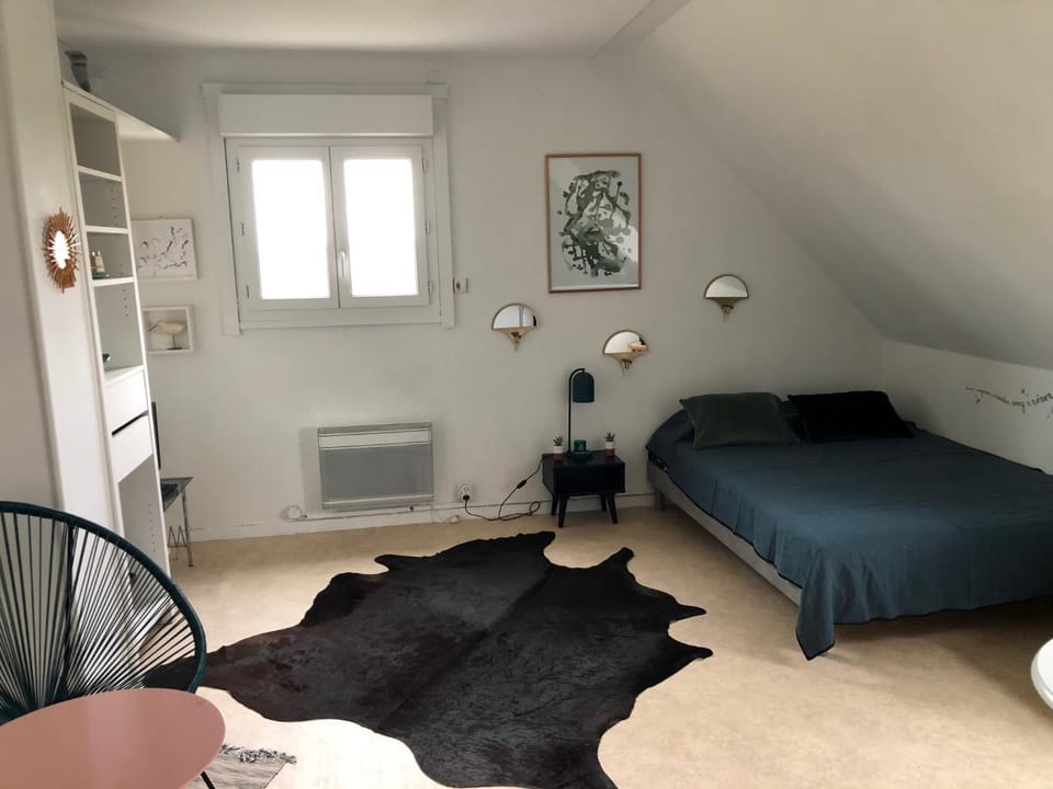 Photo of the whole room