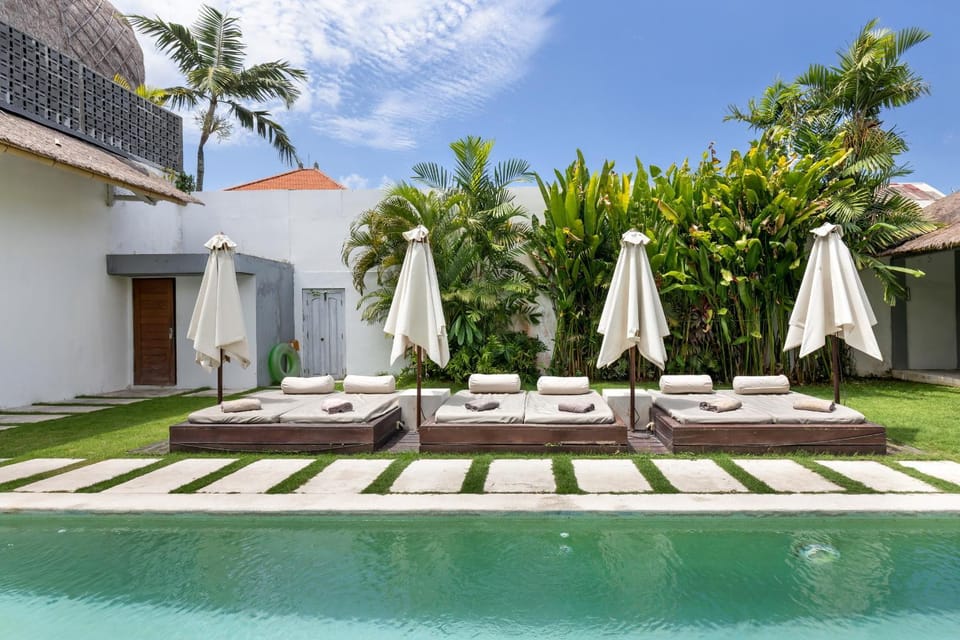 Garden, Garden view, sunbed