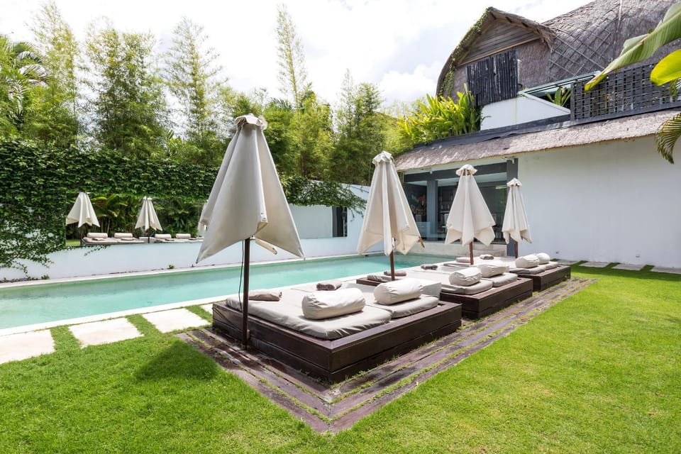 Garden, Garden view, Pool view, Swimming pool, sunbed