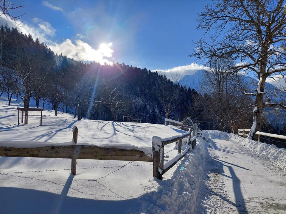 Natural landscape, Winter