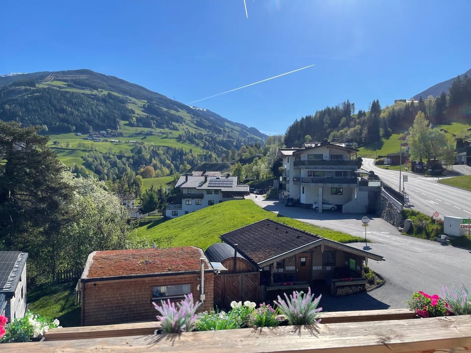Spring, Neighbourhood, Natural landscape, Mountain view, Street view