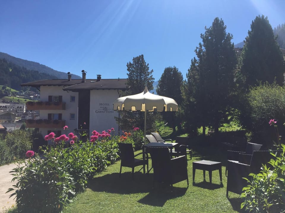 Garden, Garden view, Mountain view, sunbed