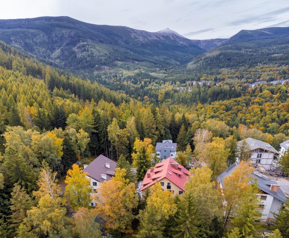 Property building, Day, Neighbourhood, Natural landscape, Bird's eye view