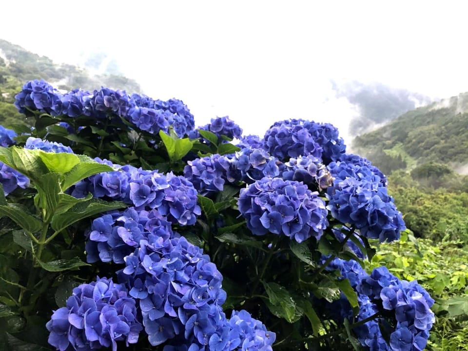 Nouka Minsyuku Nakajima - Vacation STAY 99829 Bed and Breakfast in Japan
