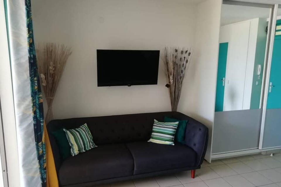 Les touloulous Apartment in Sainte-Anne