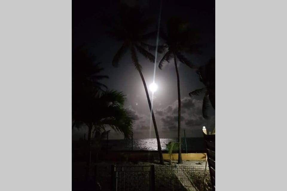 Night