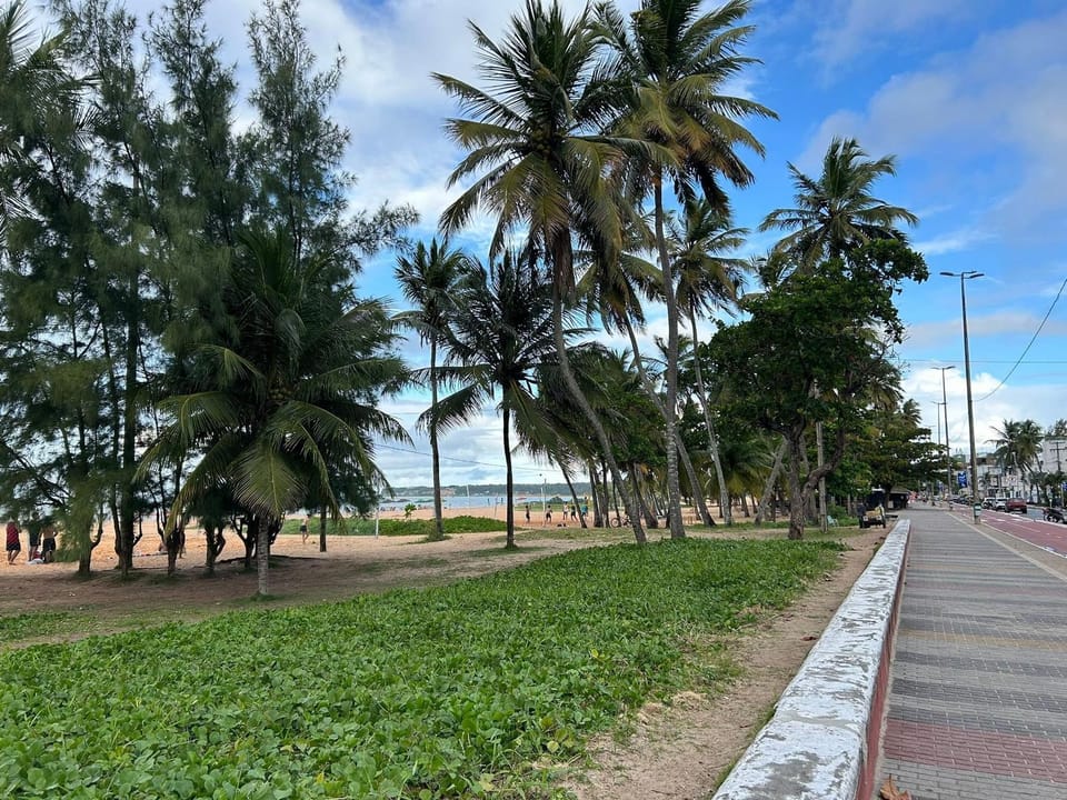 Sea view