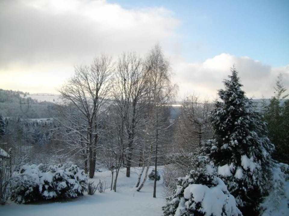 Chalet de Montagne Chaleureux avec Cheminée, Terrasse et Proche Ski - FR-1-589-2 House in Vosges