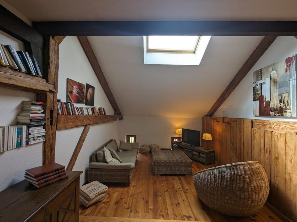 Superbe Ferme Rénovée avec Cheminée, Wifi, et Jeux Extérieurs près de Gérardmer et Épinal - FR-1-589-28 House in Vosges