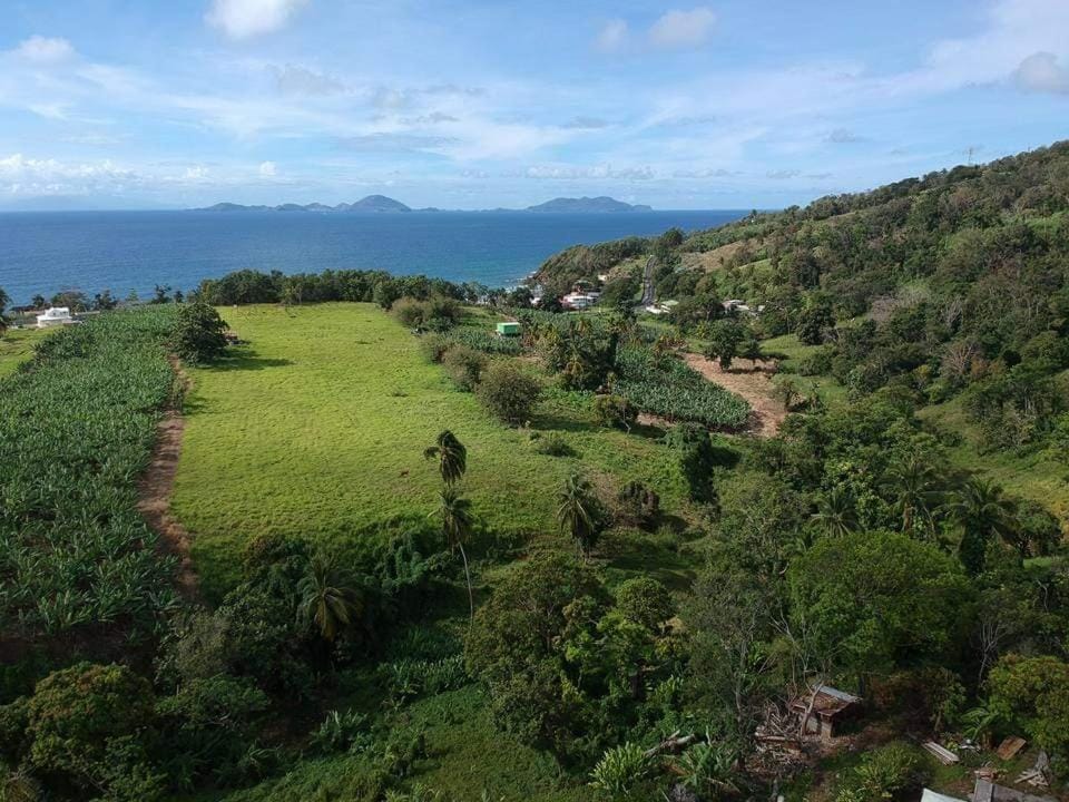 Natural landscape